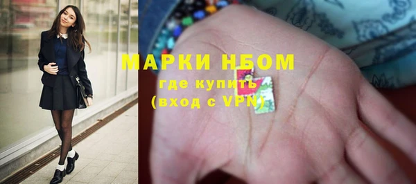 ПСИЛОЦИБИНОВЫЕ ГРИБЫ Заволжье