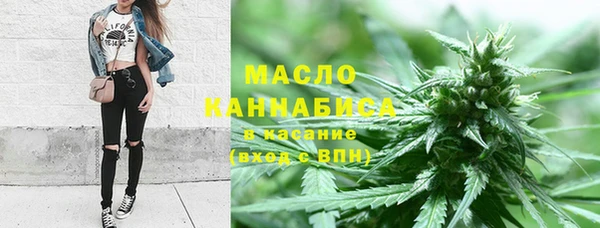 ПСИЛОЦИБИНОВЫЕ ГРИБЫ Заволжье
