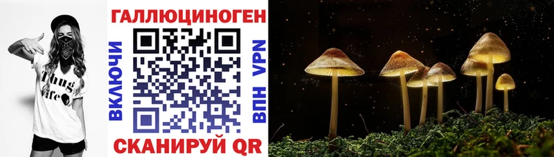 как найти закладки Протвино Галлюциногенные грибы Magic Shrooms