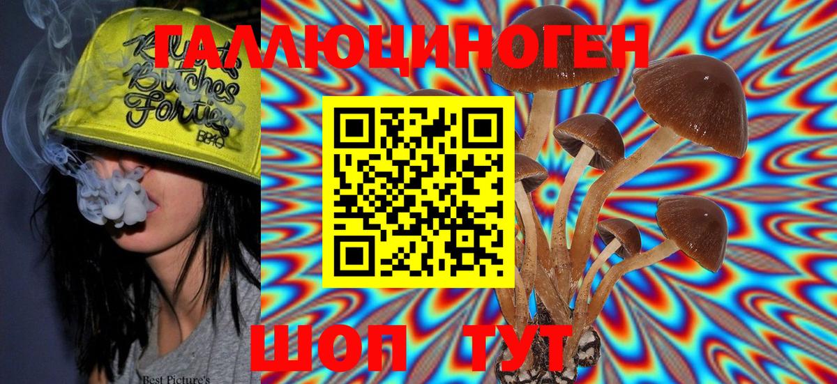 Псилоцибиновые грибы MAGIC MUSHROOMS  Вход с VPN  Протвино 