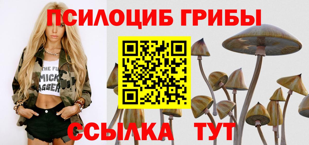 Галлюциногенные грибы Cubensis Протвино