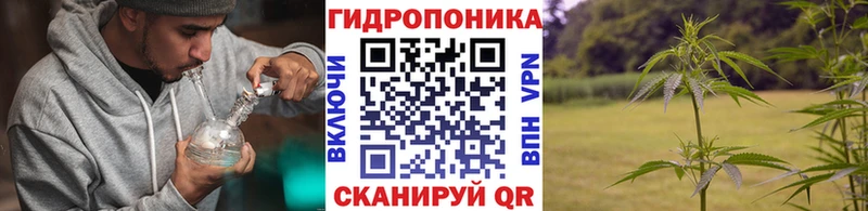 OMG как зайти  цены   Протвино  Каннабис марихуана 